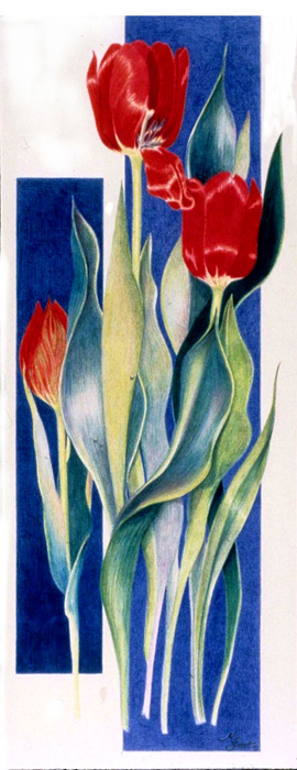Red Tulips - SOLD
