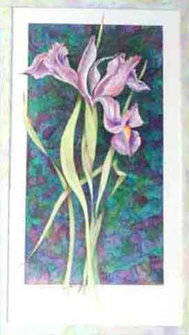 Wild Iris - SOLD