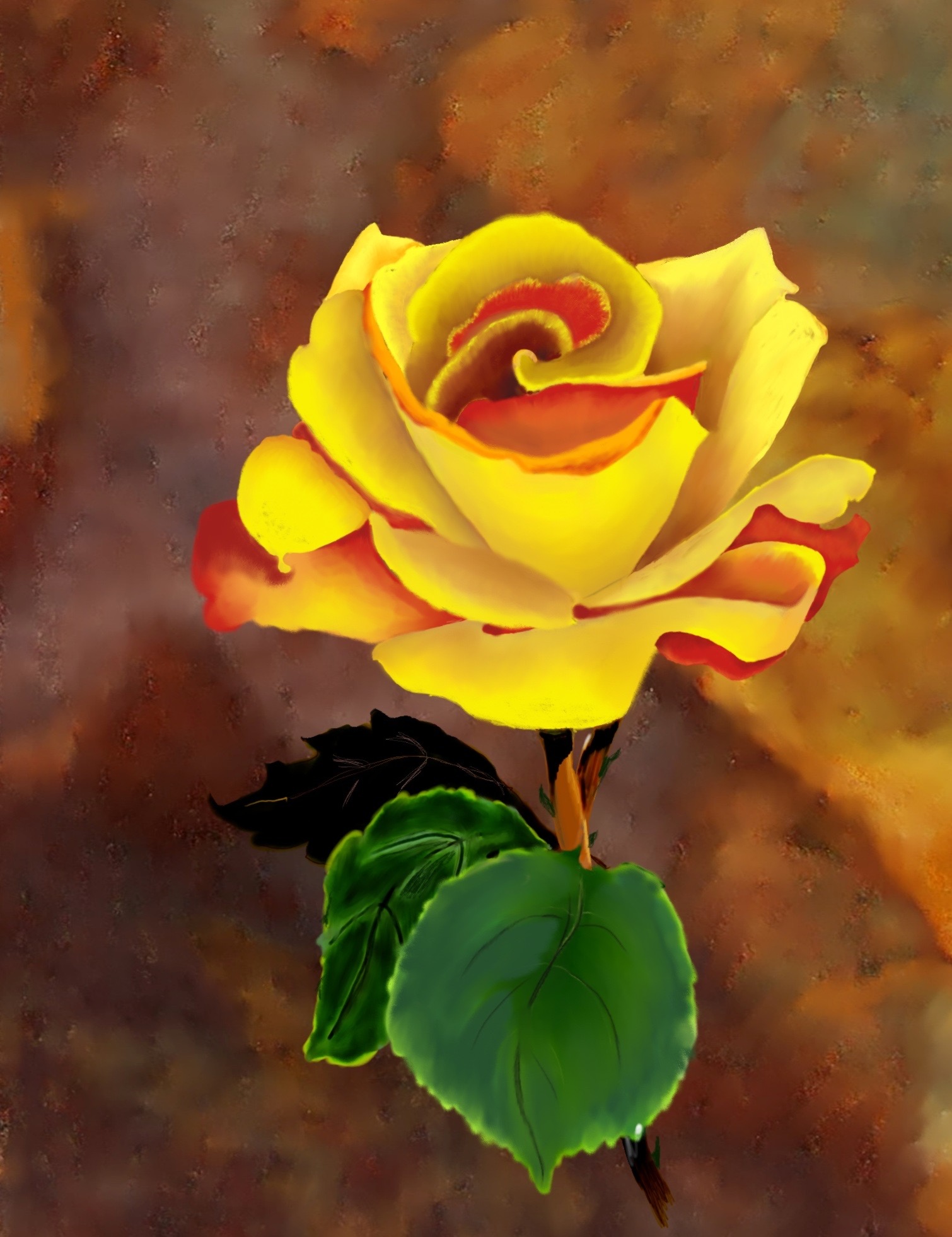 Yellow Rose